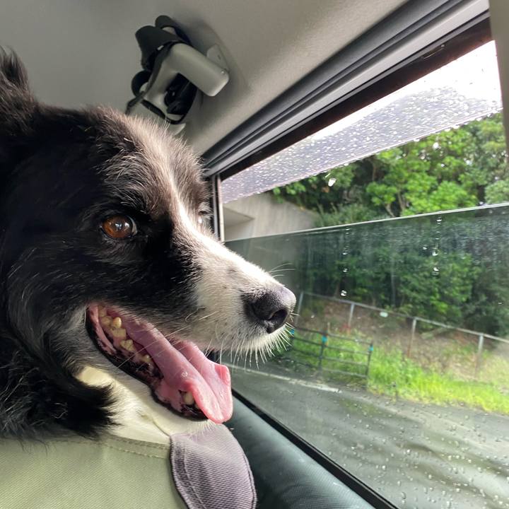 50448835 0aa0 44e7 a372 65a2c4b234a4 1659132148191