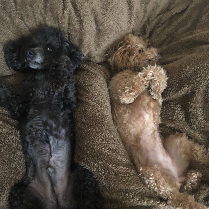 504494b2 85ef 4d81 bd57 0031a8550db7 1589516723775