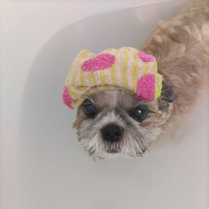 5044ccba 146c 4c6f 96d8 3da28570fbb1 1759570779393