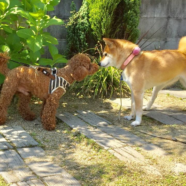 5044d89c 9187 4a8e be8b 4846aa2b5216 1526088650992