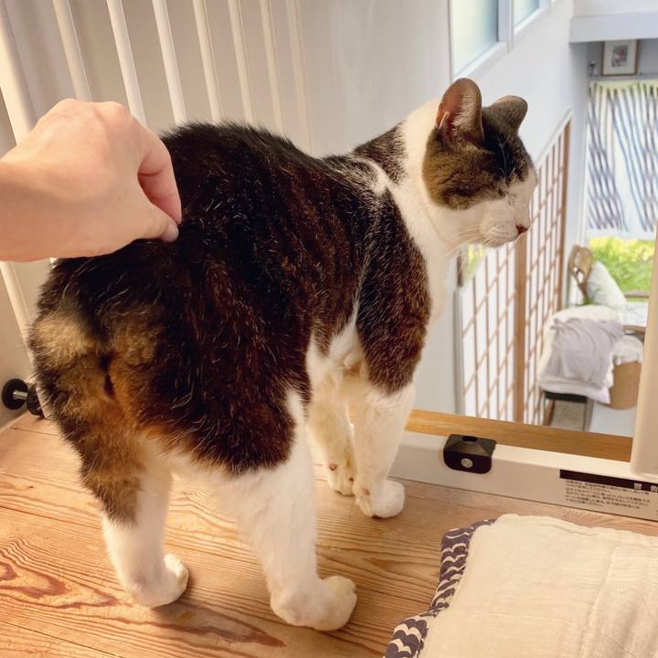 5044e6a5 b69f 4ae1 a856 6491cfc0369b 1597466697012