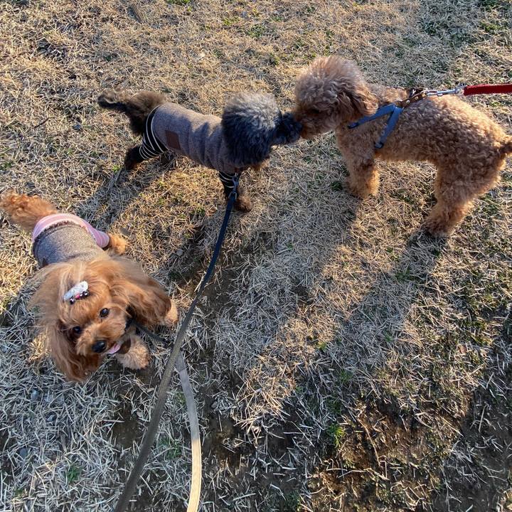 5044e75b e612 476b ab1b 77d6f146559b 1583538404470