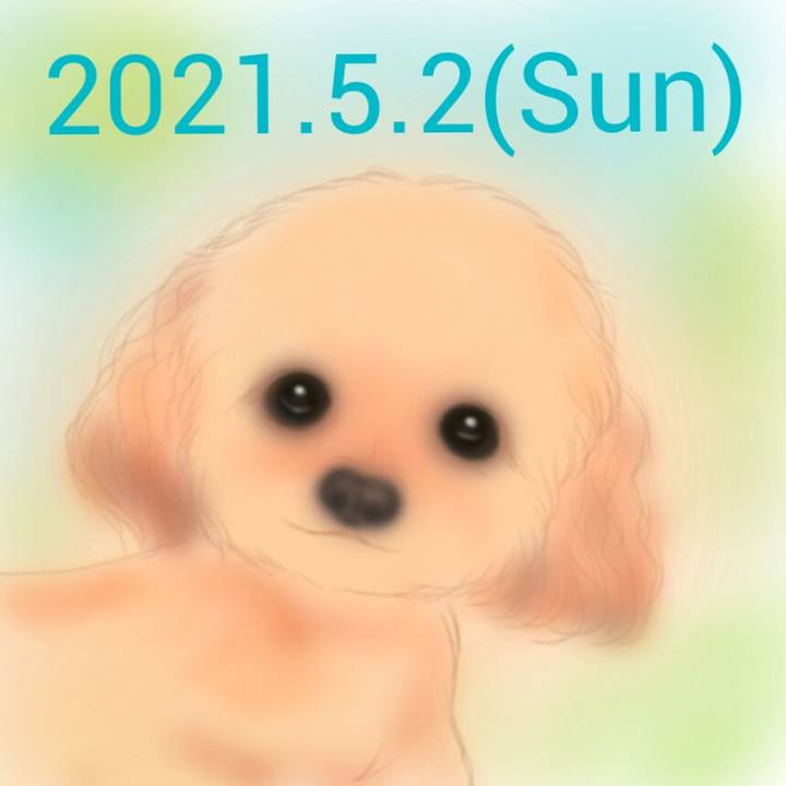 5044ee56 f58e 42ac 9bfb 9996055b1849 1619958861102