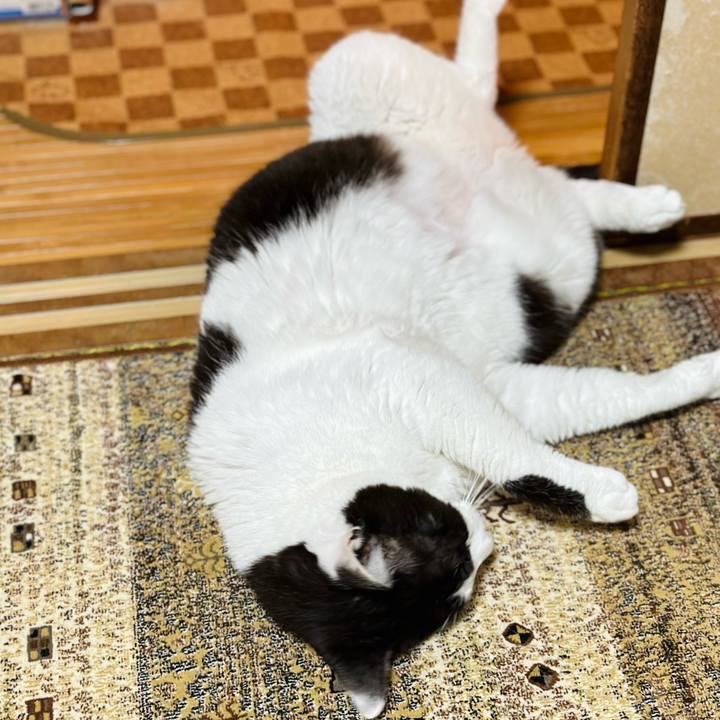 504508ff f3fa 4e01 9425 9f1f07ae33e1 1686798654815