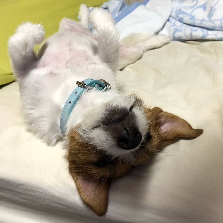 504513ed 44b5 42cb bbe5 2294d35acaa3 1534683666759