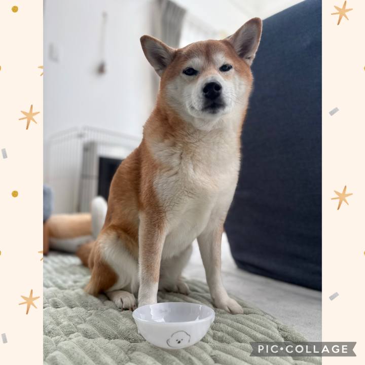 50453af5 6b25 4ba4 965a 0d2b3f3fdcb2 1768180133423