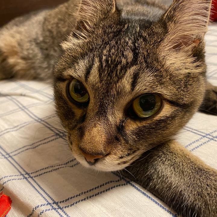 50454e1d d5e7 4da0 9bb3 c5b40f7ce472 1593968896862