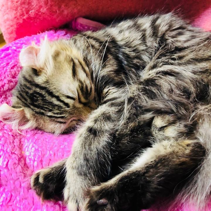 50457960 1f3b 4c5b 8ea2 25677106eff8 1521292930762