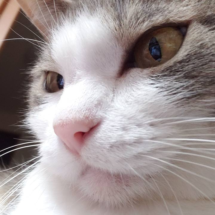 5045e8d6 9db0 4fbb 9f9c 3e85e8e2e0c6 1636766746469