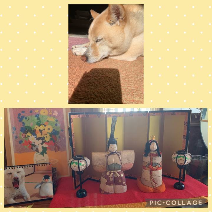 50460132 5fc3 4516 9e63 7aea855fe140 1644370886945