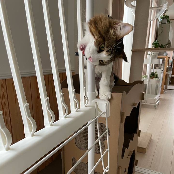 50462557 86ee 40a1 876d 1f761887e0a5 1658785878964