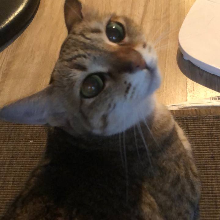 5046269b 8cf4 405a 9874 32aefd32abd3 1658658712413