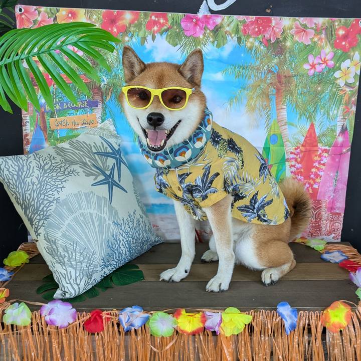 50462d25 6280 4288 8dbe d18dee4748f0 1722523795158