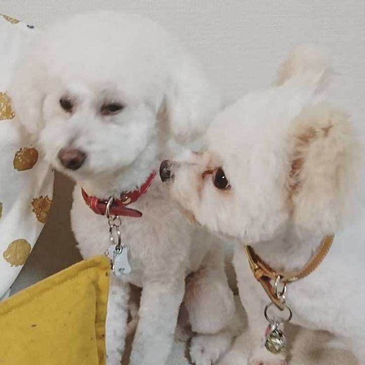 50464b8e d048 4944 bba5 d6b55fa4881d 1548412019272