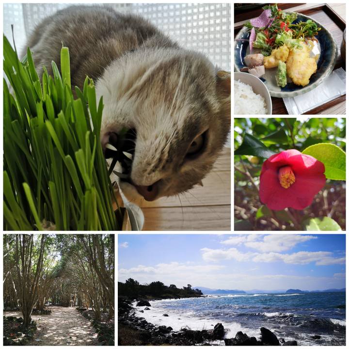 504653d2 85ee 44fa a6d4 923d37dd33bf 1583903870036