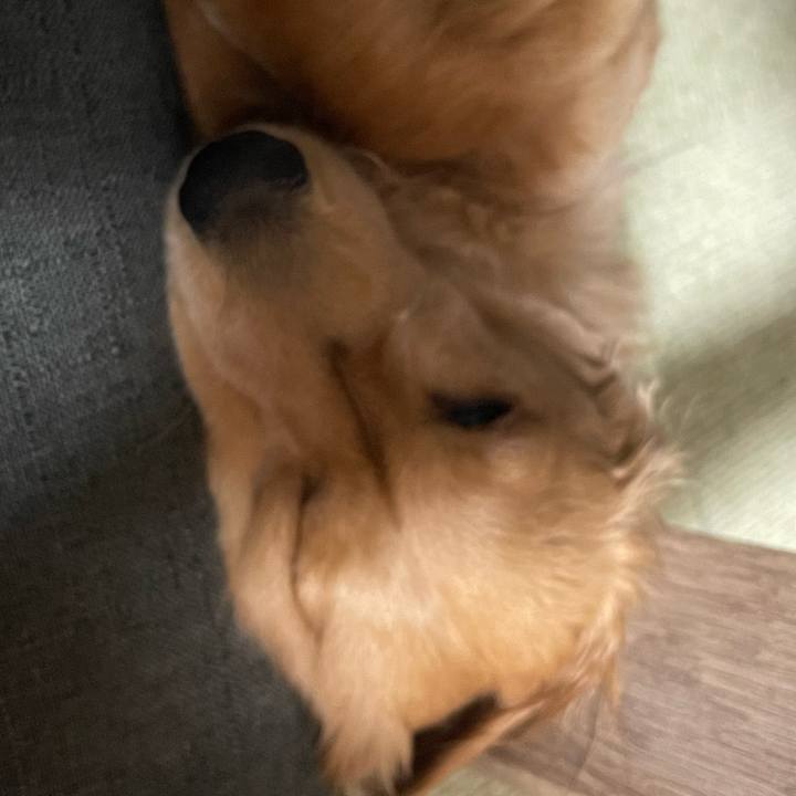 504658ed a1aa 42d1 9e13 4887d42915b0 1683903802498