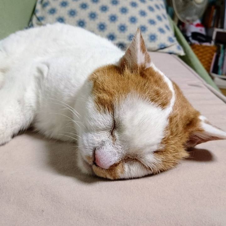 50466972 881f 4234 b73c 539bf9c98b48 1691578762257