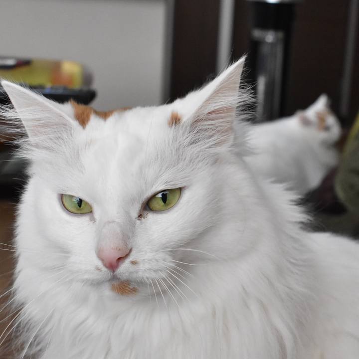 50466985 4859 43a7 b5d3 3d7fa3cee1ed 1774144000618