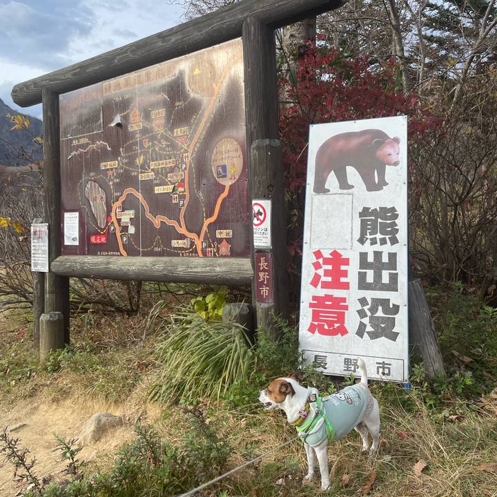 50466a6f 5d68 44e8 8e0c 60ac63bf299b 1699281206089