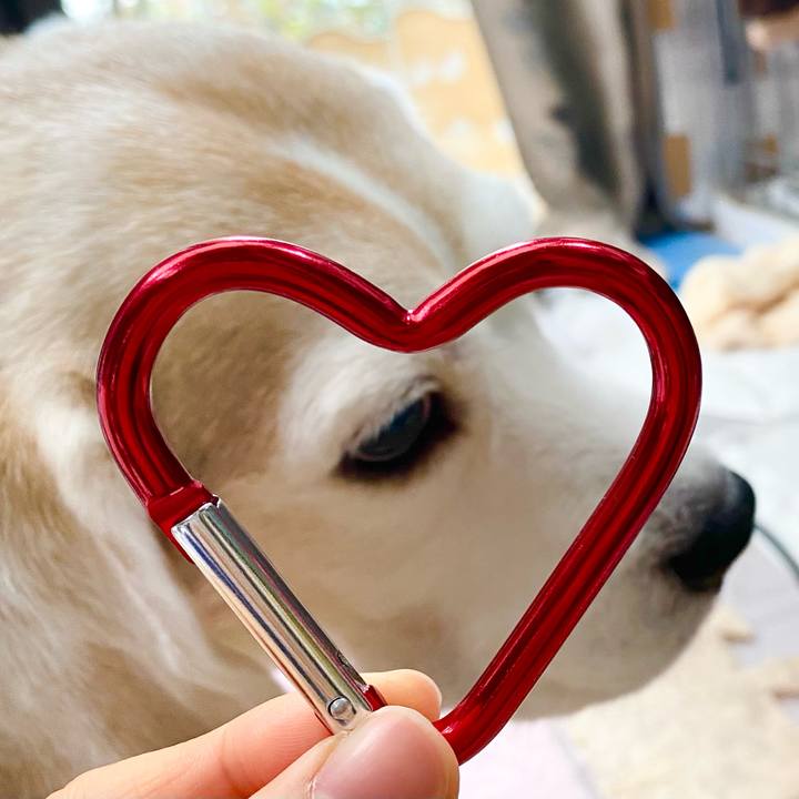 50467b58 1a49 48dd bb2e 387ee19c49d3 1644811847518