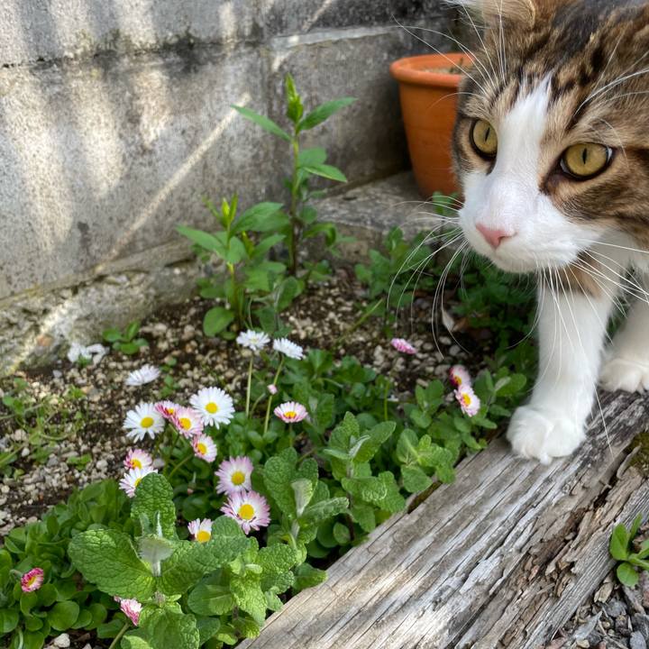 5046c30b 10ff 4dc1 ad6b ed6d6ff5c199 1651998739954