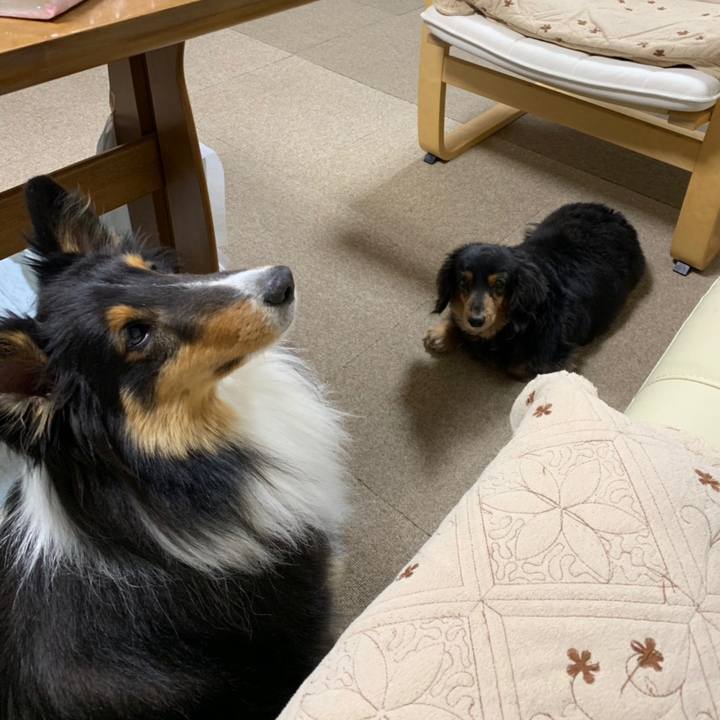 5046c760 3b60 40f0 9eee 1fc11183cc29 1558731671145