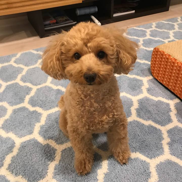 5046c76c 624f 4068 bc88 f0d92e7ba494 1545225499928