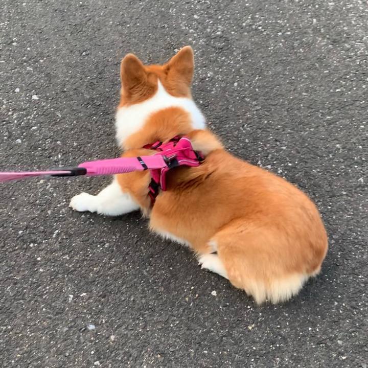 5046d536 76d4 4744 a7eb 88d8ee3fc106 1624708576654