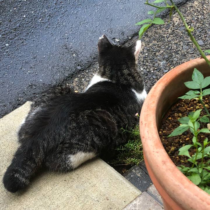 5046fd4c 79a4 4598 a501 dc2fbe9c639d 1534378049923