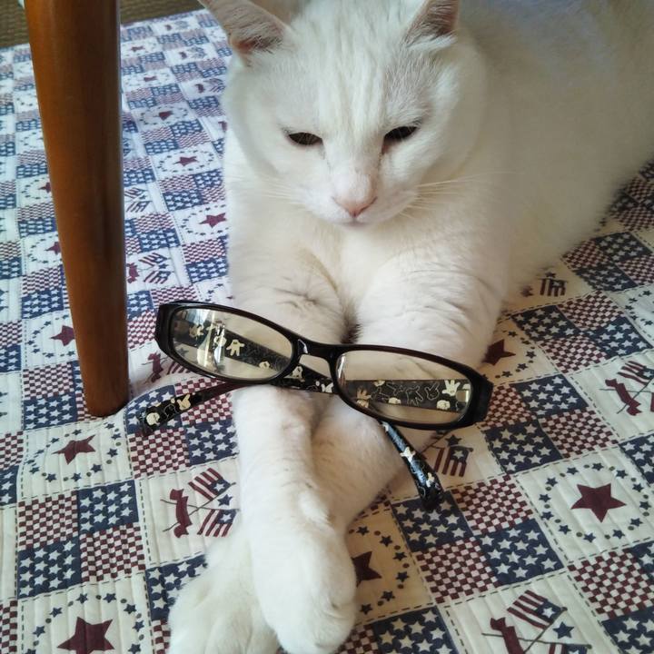 50471279 69a5 4ba0 9b52 ac67b310b9e4 1630198898234