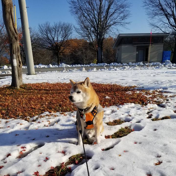 50475605 2e02 494a 8417 d0598cc352bb 1701062875681