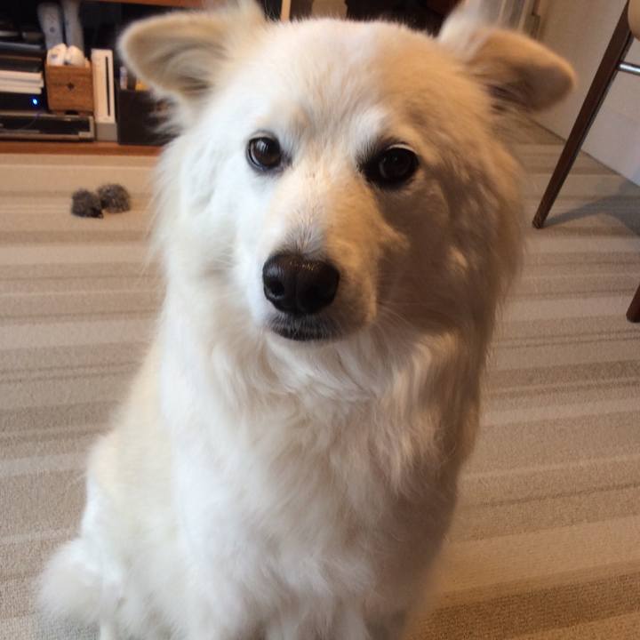 50477d28 965b 4577 8ce1 cc14151e478c 1525688550910