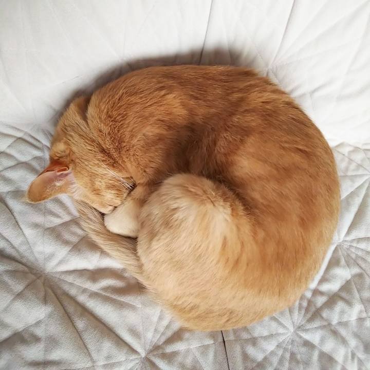 5047a41d c7ce 4f00 b604 e09fbd08adea 1633555478343