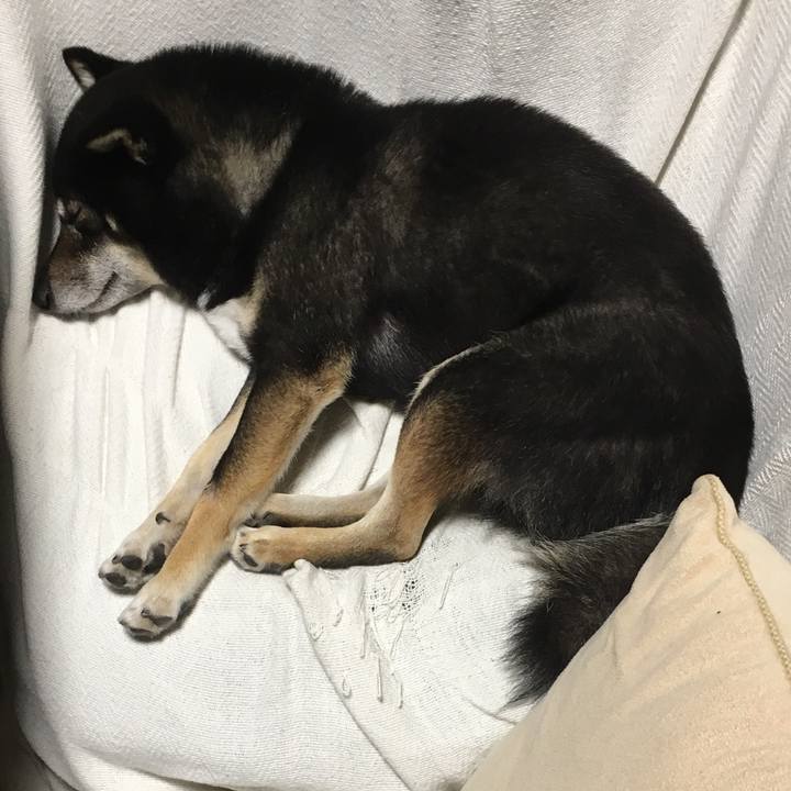 5047ab01 86dd 401d 97e4 4648a5b5a14f 1508410558024