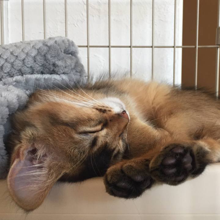 5047ae0f e28b 4c3e a4d0 4aa6656e3c05 1575708202313