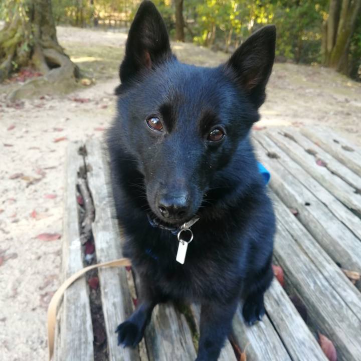 5047b9e8 cb4e 4c0b b4bc 4cbba0817ea1 1636239649918