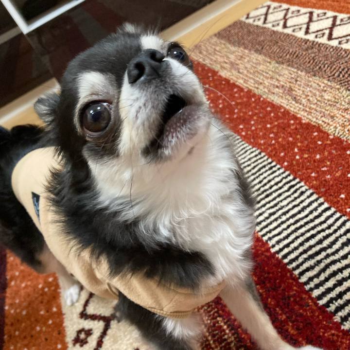 5047ee5b ece1 4756 8dfc ffd1af3db75a 1673103879663