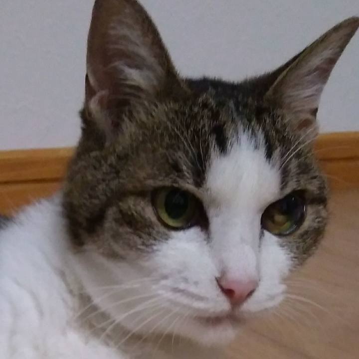 50488d68 a126 4dce ab1f 419126743e23 1528637271216