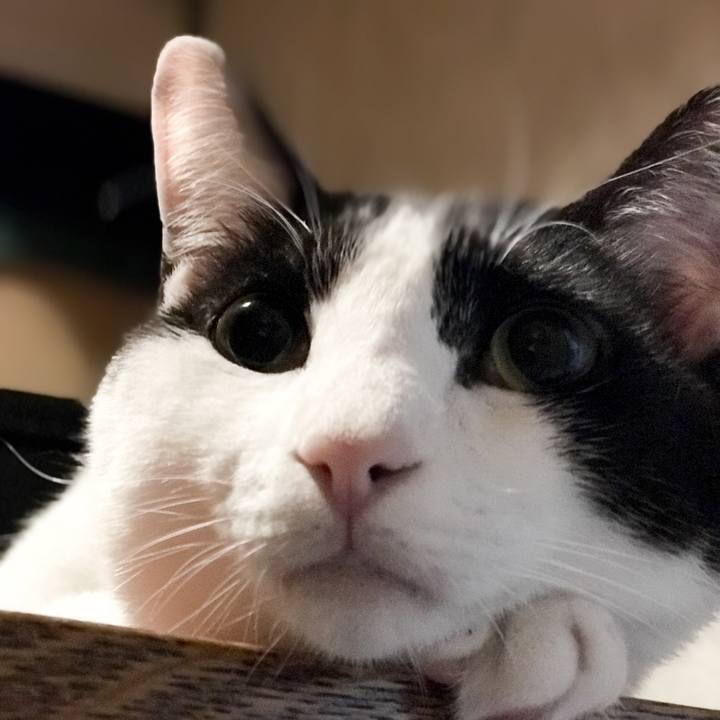 5048a981 12b3 4d0b acc2 bc873e5cd8f8 1527902095017