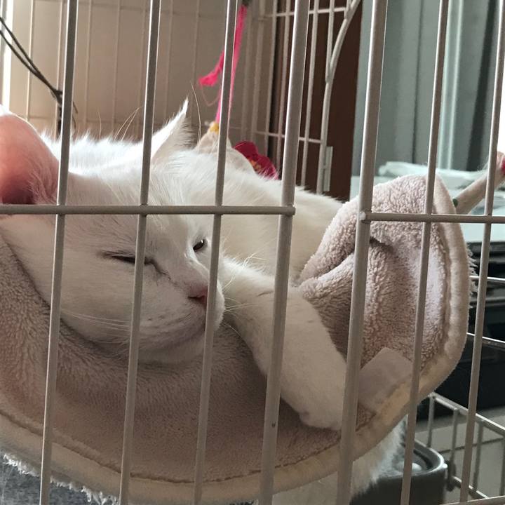 5048b09c a965 4c72 b3b1 c21424cf1d9a 1510717043573