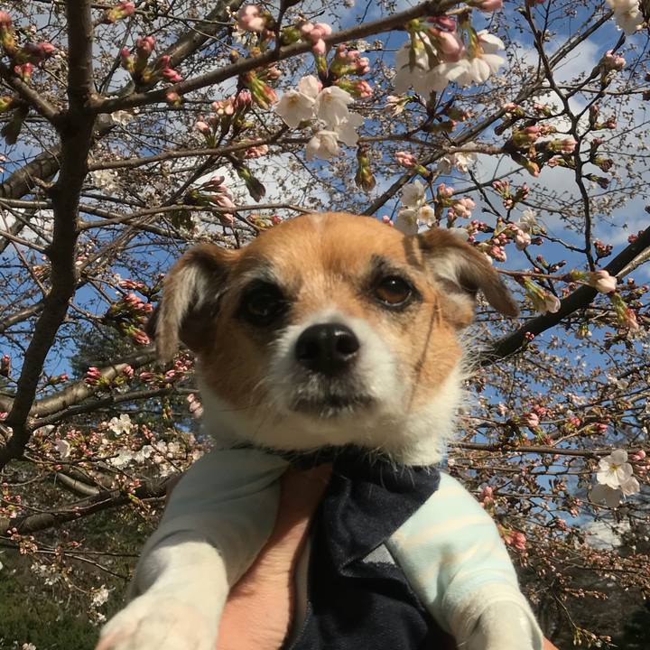 5048d11a 0864 47b5 a20d b47b86fc0534 1521852429629