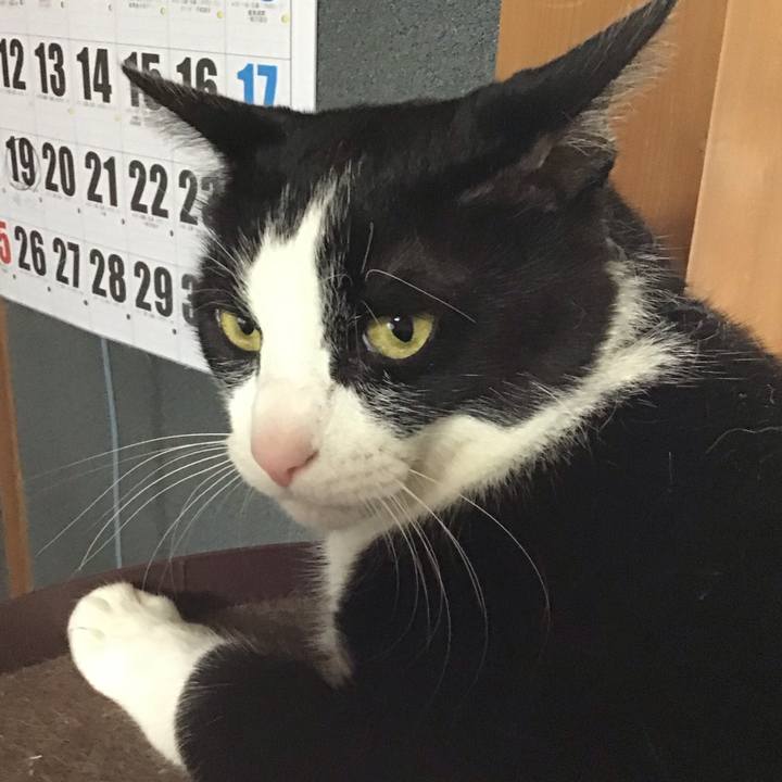 5048d253 f176 4918 aee9 2e4b525a9015 1748157380341