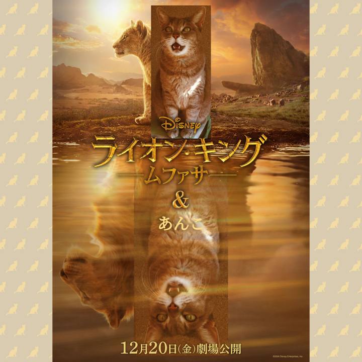 5048ed03 8d94 4272 9ce8 50f63da13369 1734433552831