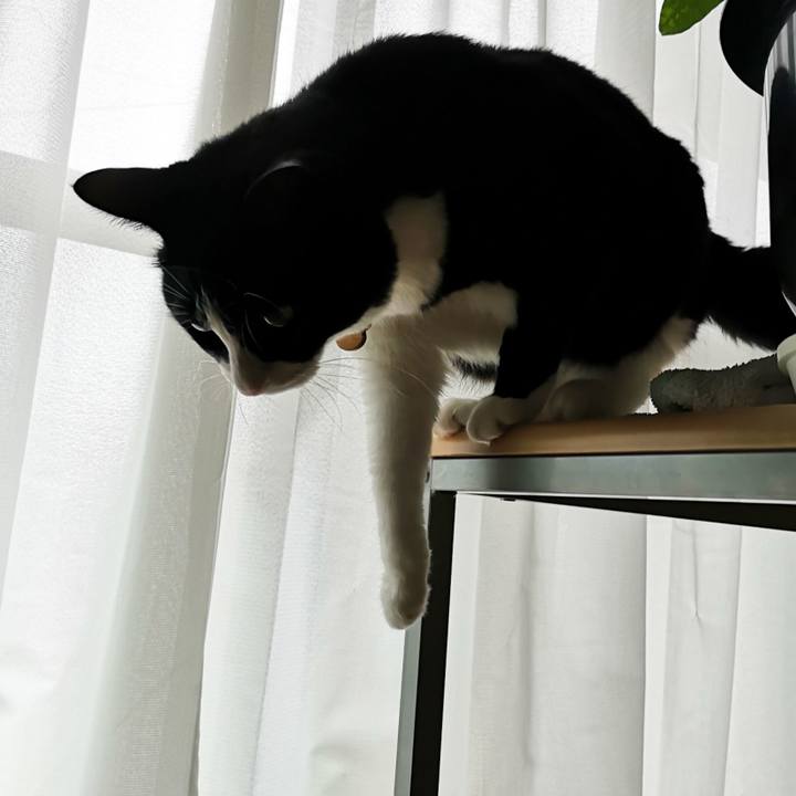 5048ff5c 8095 47fb bdfd 0e58eae15d3a 1563112928117