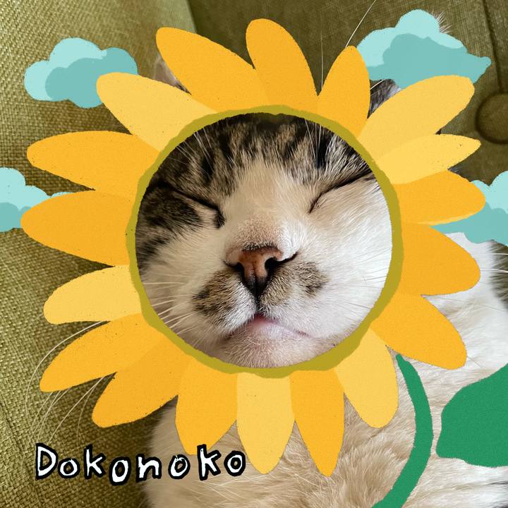 5048ffb6 8641 441c 91dc f1cbf197c143 1723337947211