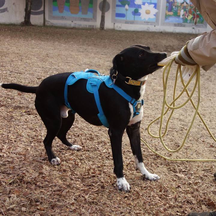 5049106a f3a6 417d 98b2 675e3b1e18a6 1612568446757