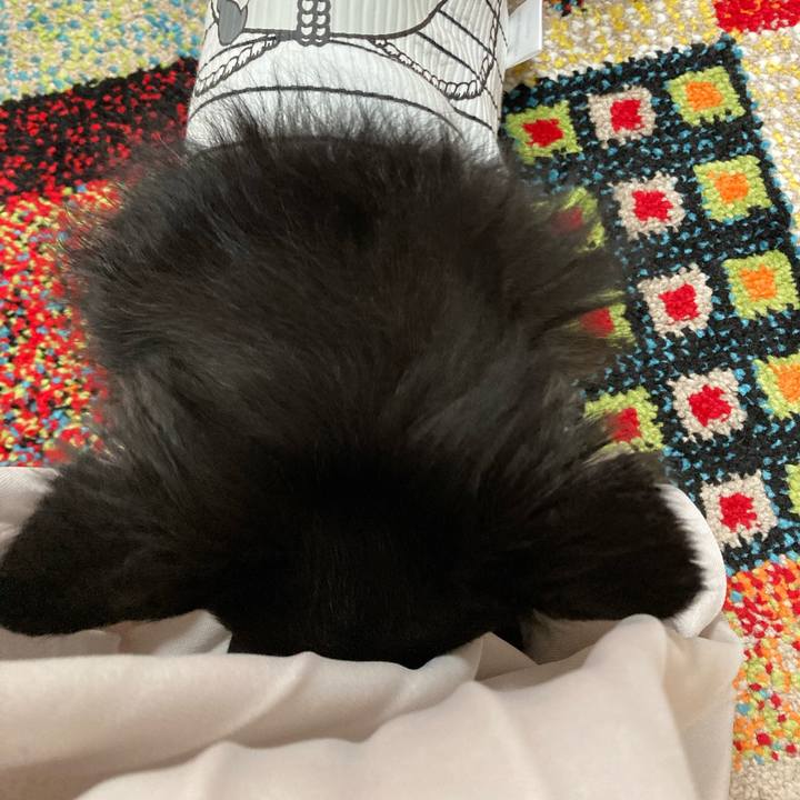 504957a1 d007 4e2e 8dd1 7992893b8cb1 1685203402491