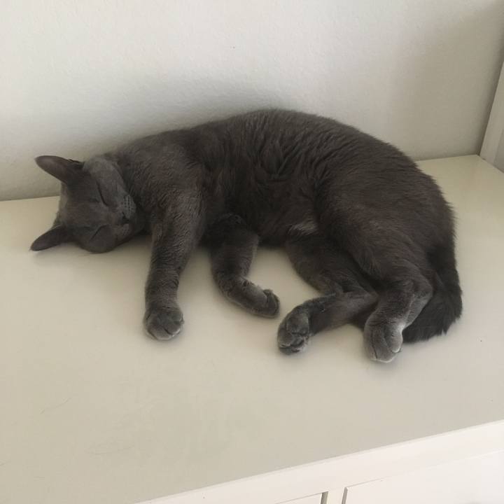 50495f74 4e8b 4ec1 adf0 92ca587ba9d7 1656373878407