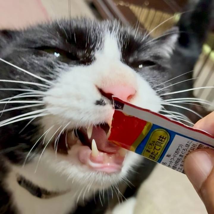 50496444 5fb4 4305 bf4d 1d3fae7d52cf 1758276595821