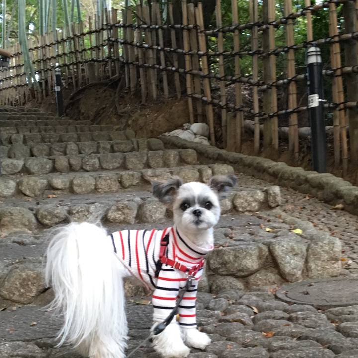 504a0869 38df 442a a898 e67cf433e1e1 1541239687998